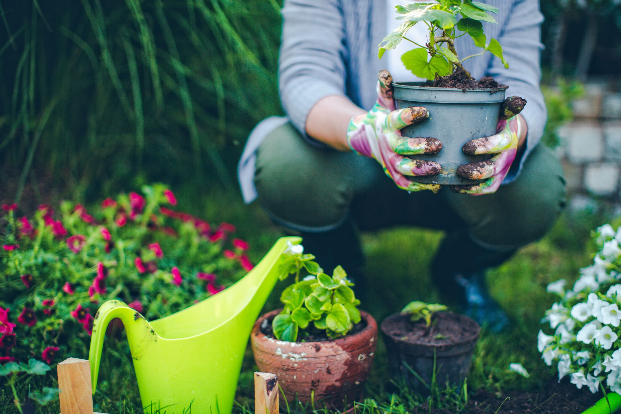 Gardening and Landscaping